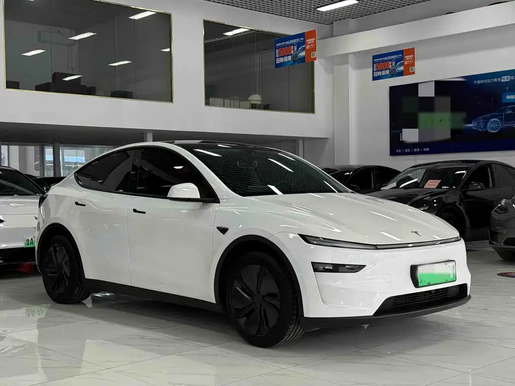 Tesla Model Y — миниатюра 3