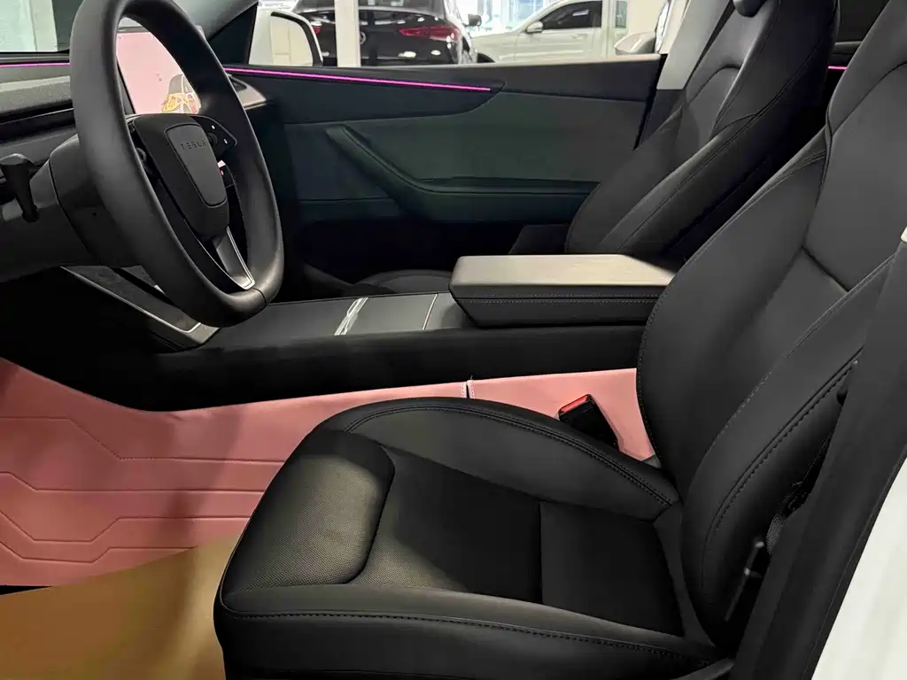 Tesla Model Y — миниатюра 10