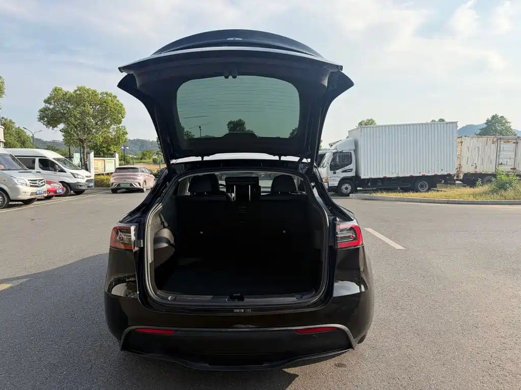 Tesla Model Y — миниатюра 15