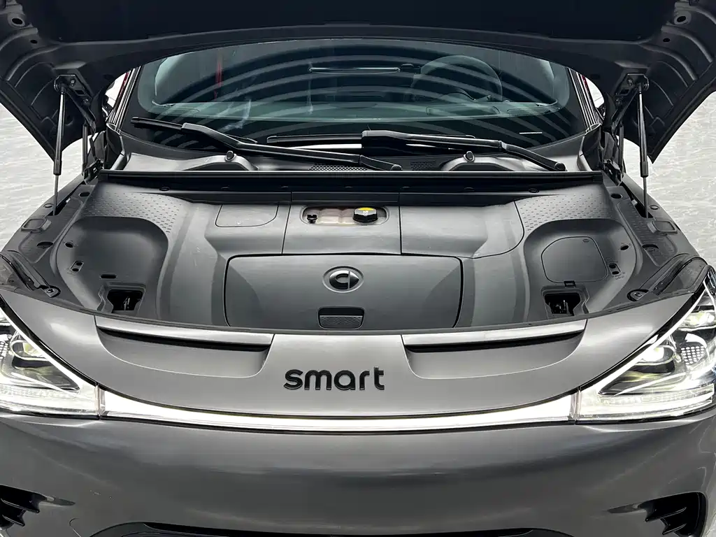 smart Smart #1 — миниатюра 29