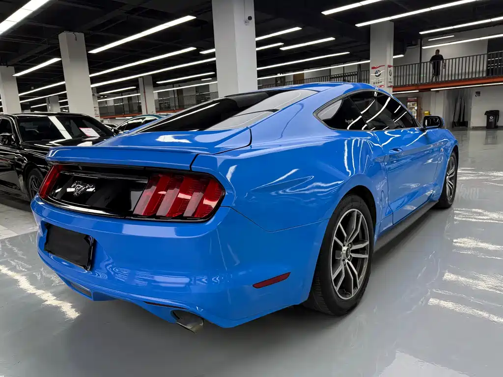 Ford Mustang — миниатюра 18