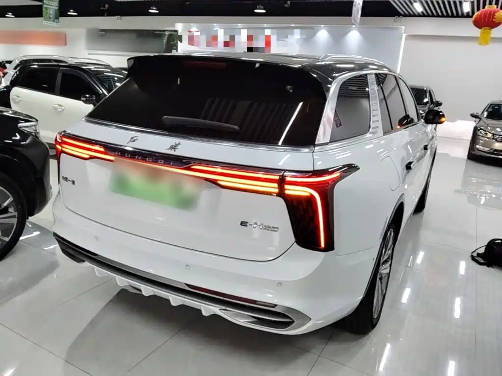 Hongqi Hongqi E-HS9 — миниатюра 6