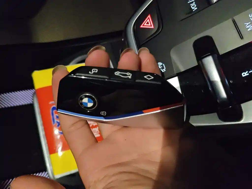BMW X1 — миниатюра 9