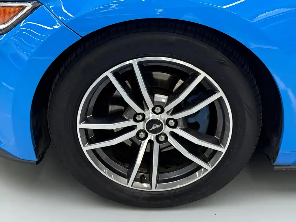 Ford Mustang — миниатюра 23
