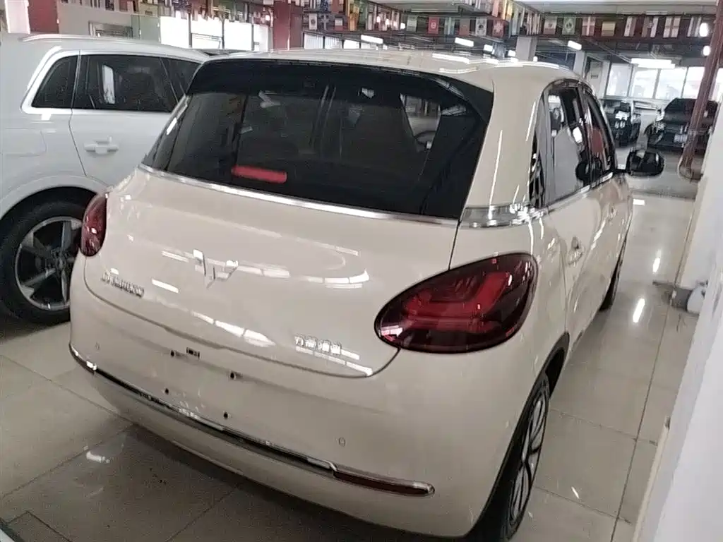 Wuling Binguo 2025 333km