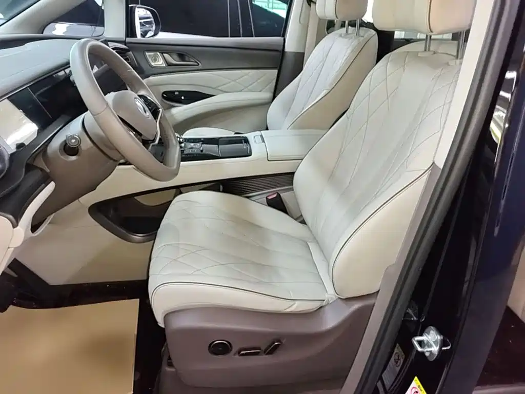 Denza Denza D9 — миниатюра 15