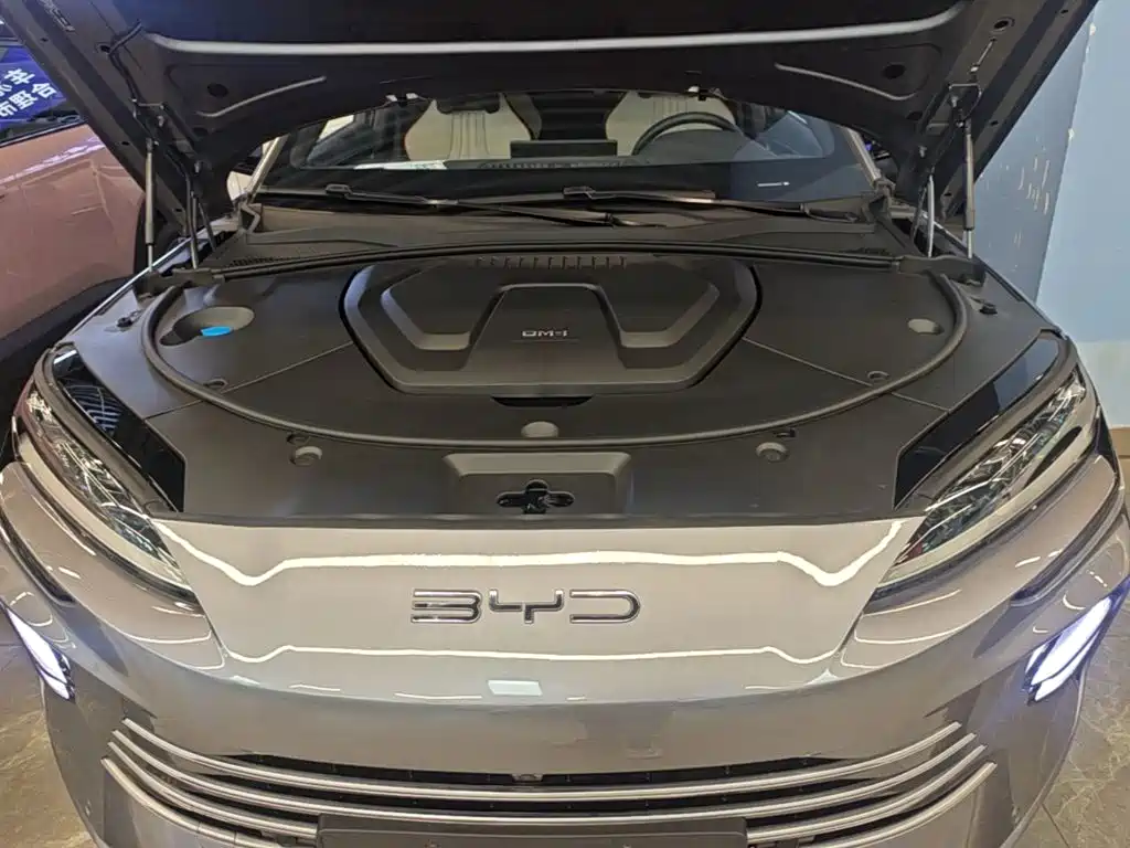 BYD PLUS New Energy — миниатюра 20