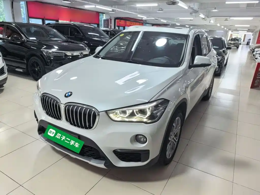 BMW X1 — миниатюра 2