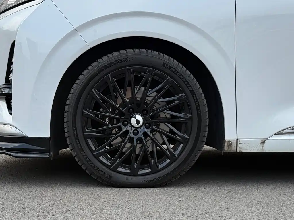 Denza Denza D9 — миниатюра 6