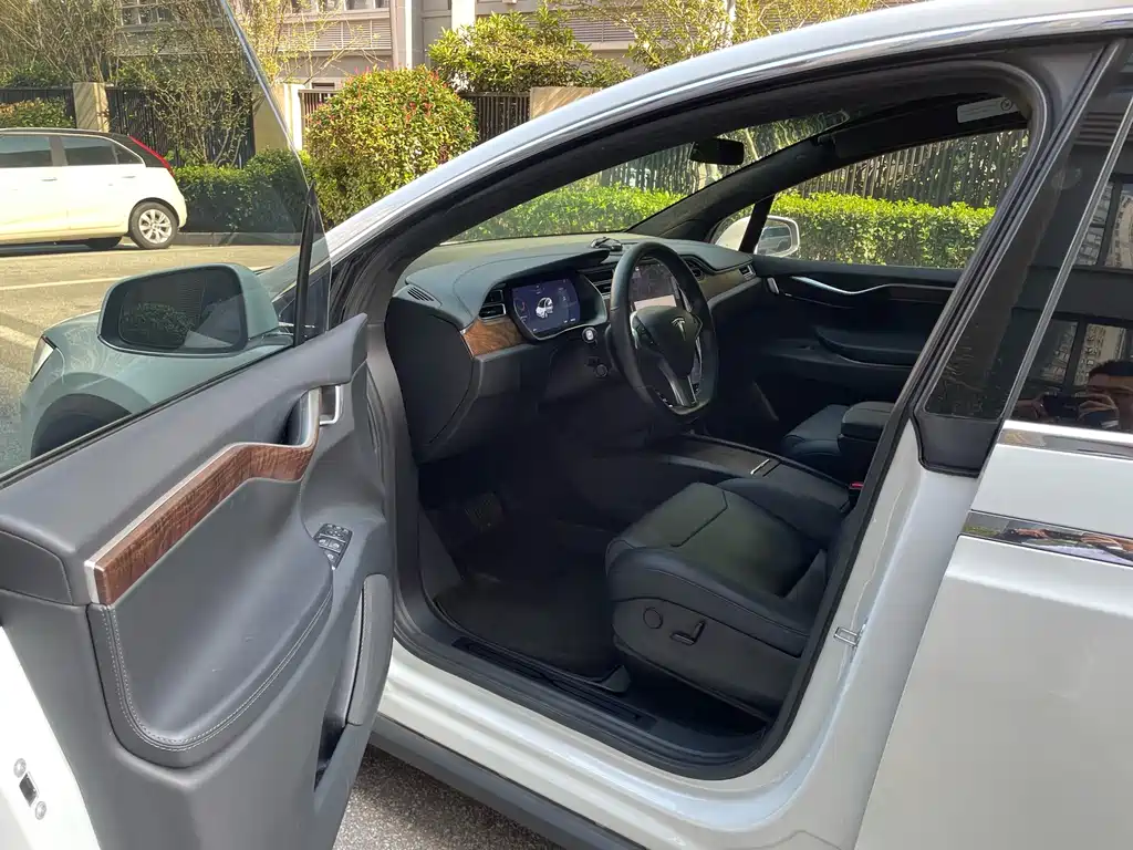 Tesla Model X — миниатюра 9