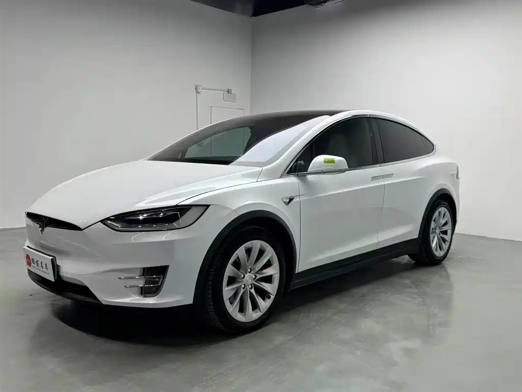 Tesla Model X 2019