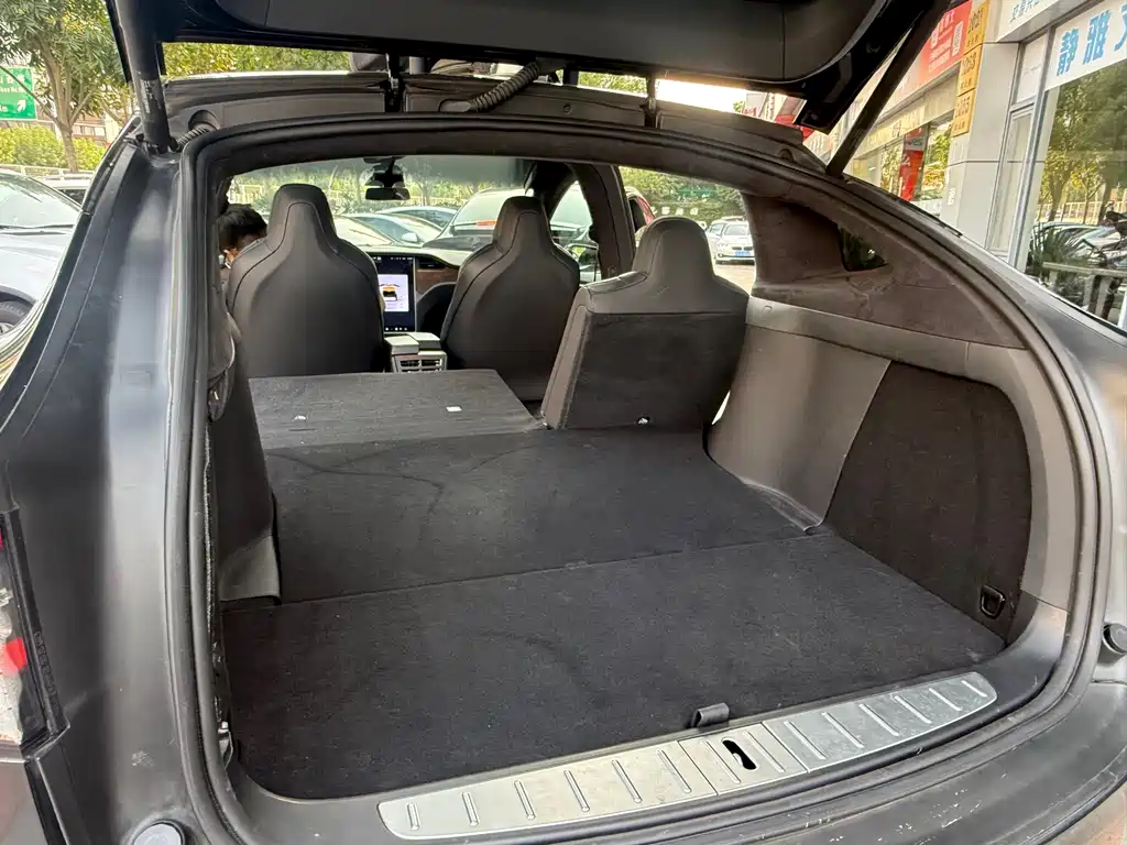 Tesla Model X — миниатюра 5
