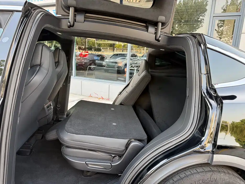Tesla Model X — миниатюра 6
