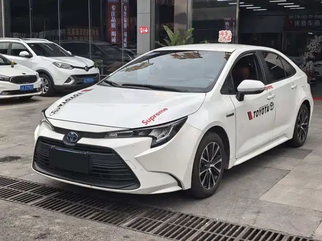 TOYOTA LEI LING 2024