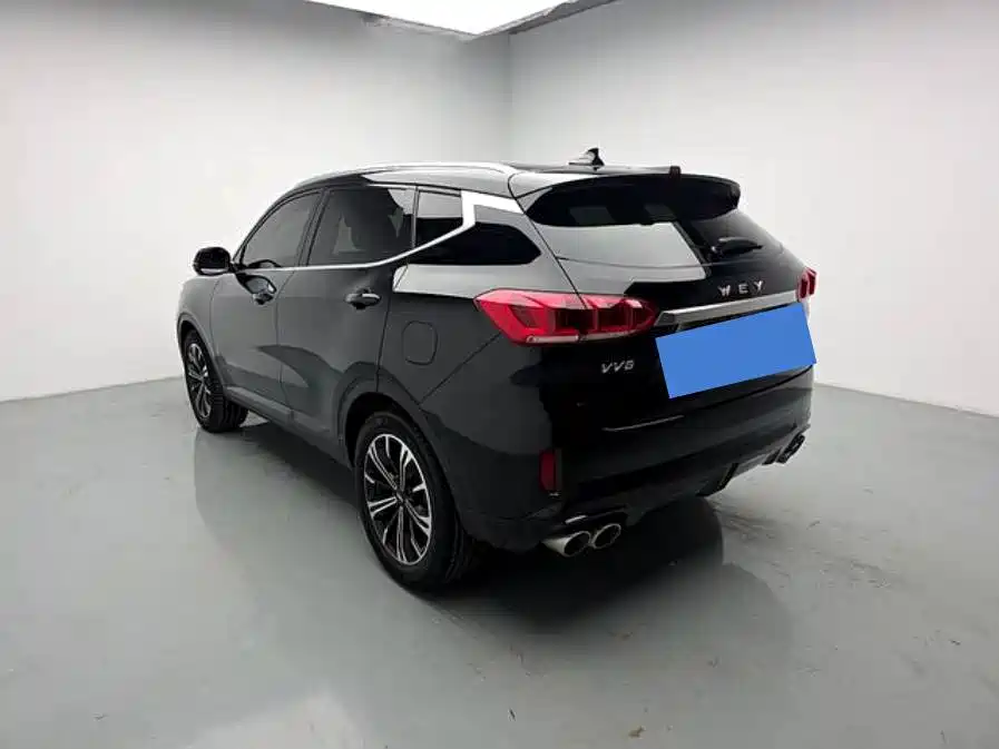 Wey Wey VV6 — миниатюра 4