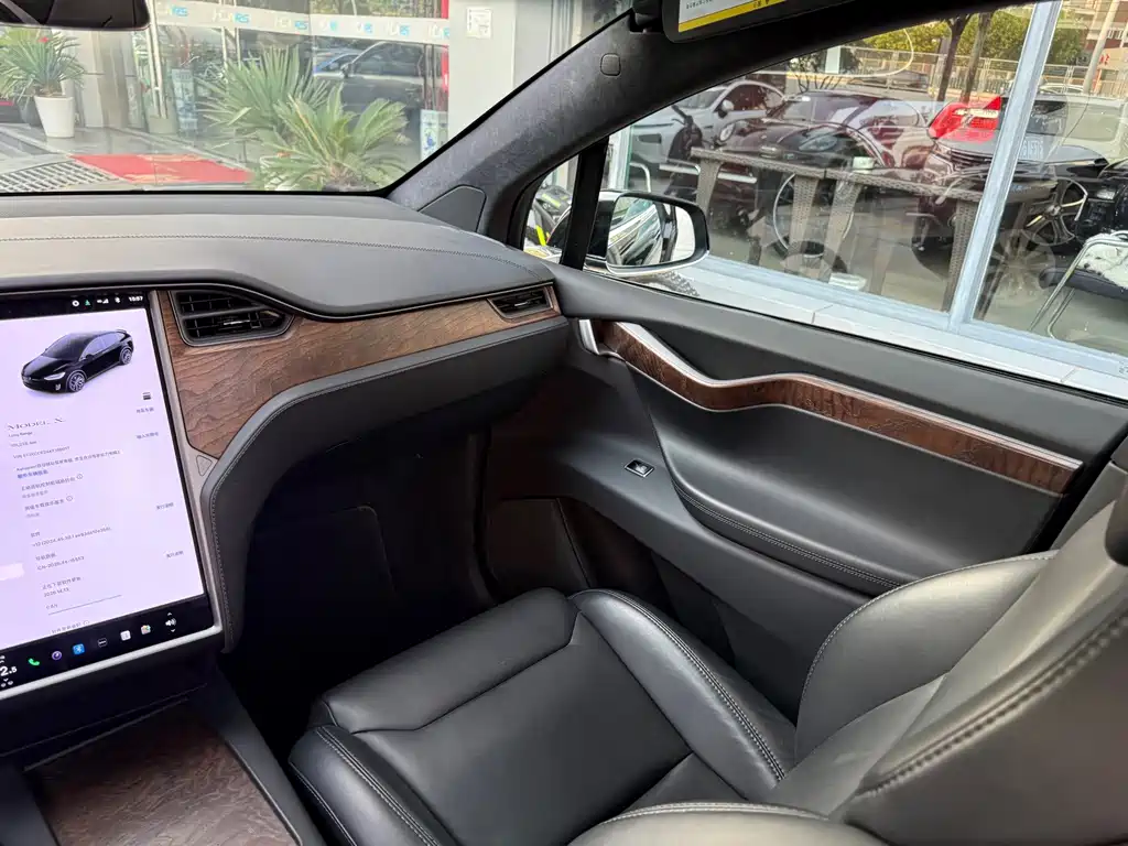 Tesla Model X — миниатюра 19