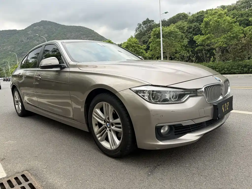 BMW 3 Series 3 2018 318Li