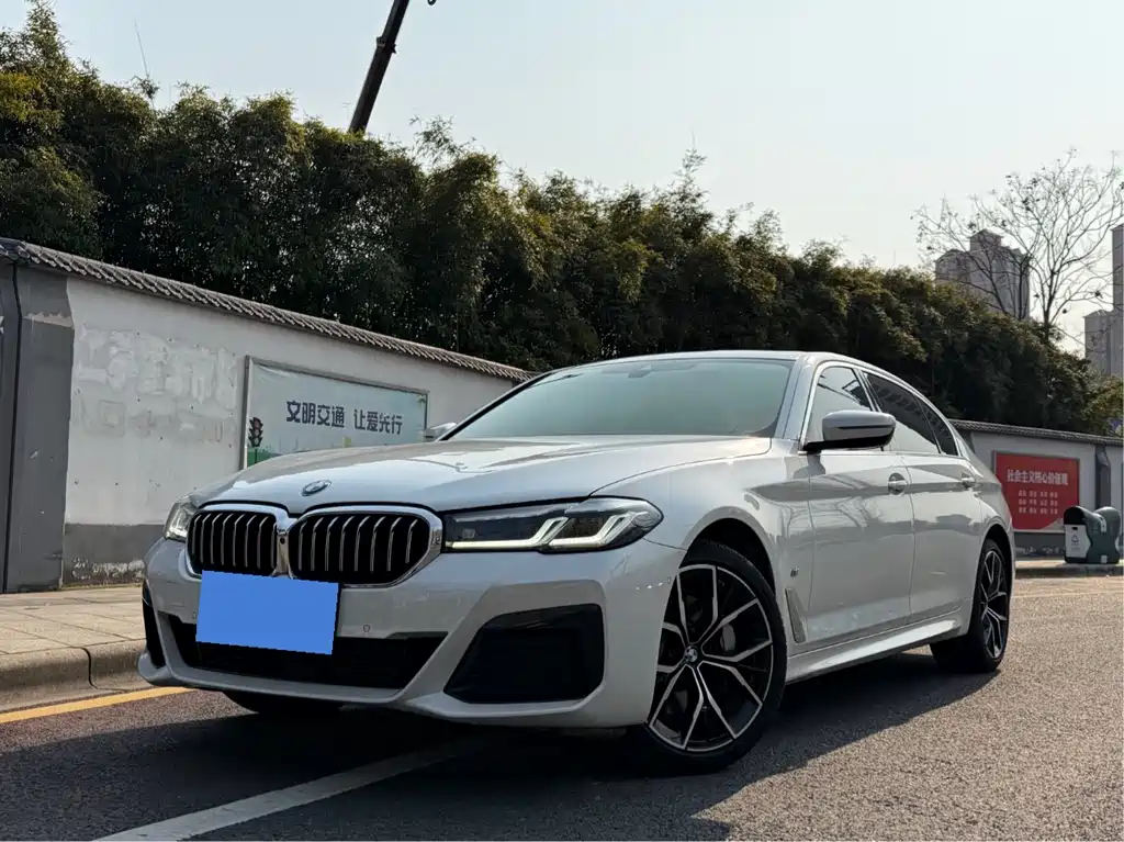 BMW 5 Series 2021