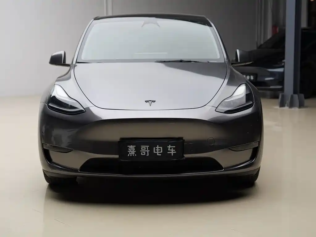 Tesla Model Y — миниатюра 2