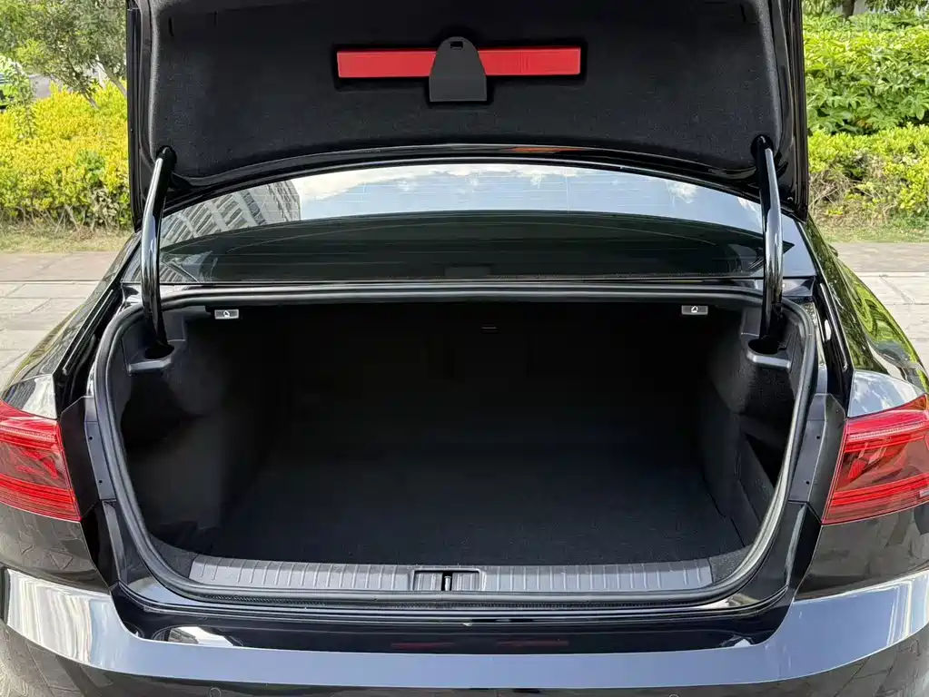 Volkswagen Magotan 2020 330TSI DSG Luxury