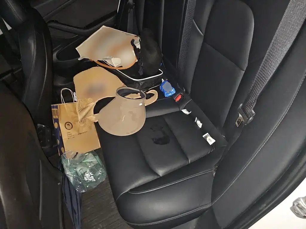 Tesla Model 3 — миниатюра 14