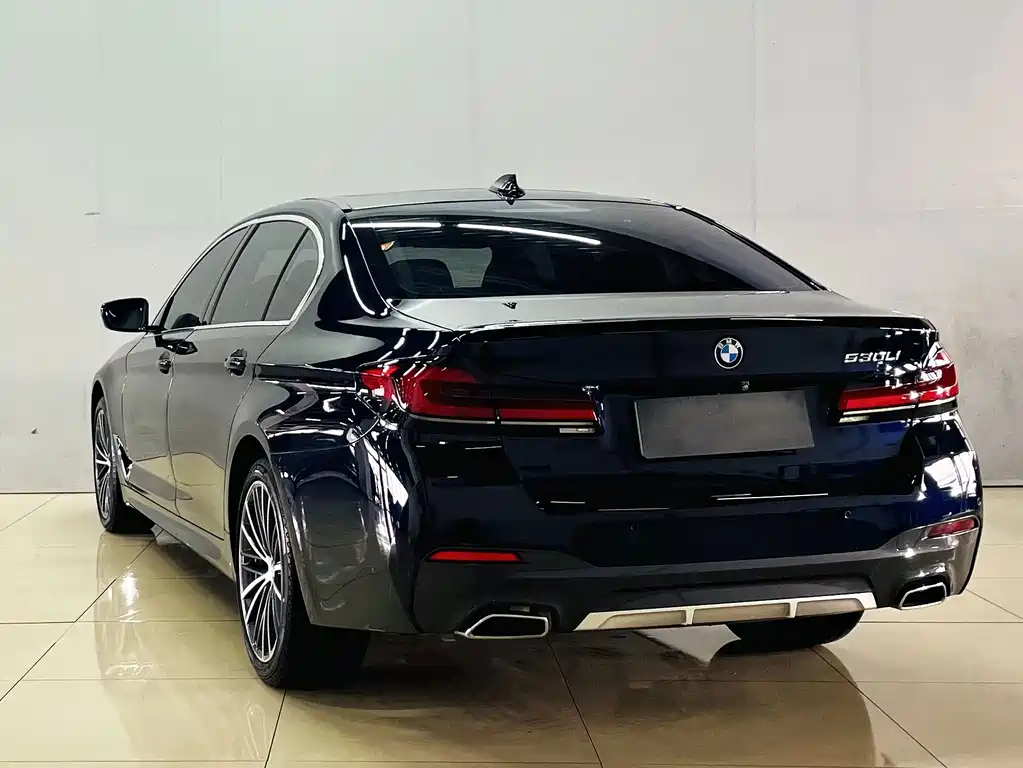 BMW 5 Series — миниатюра 4