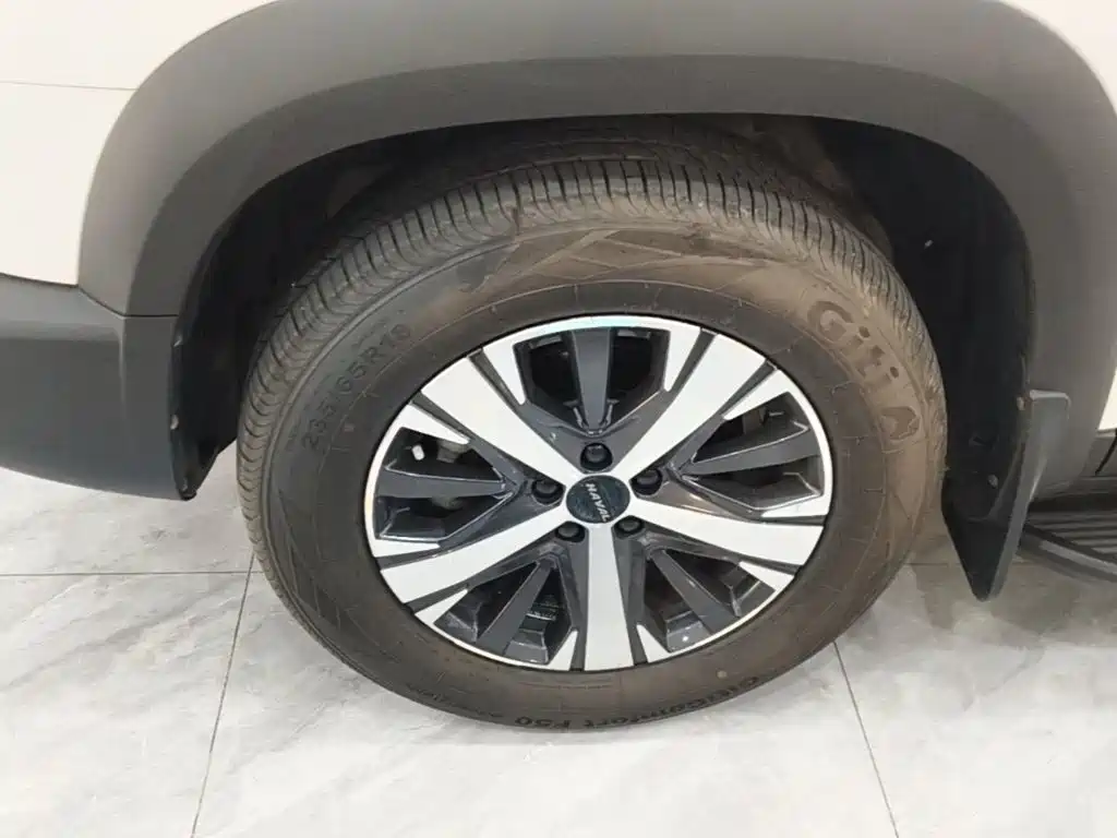 Haval Big Dog — миниатюра 23