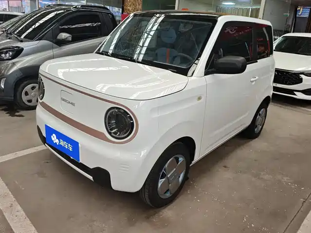 2024 Geely LC (Panda)