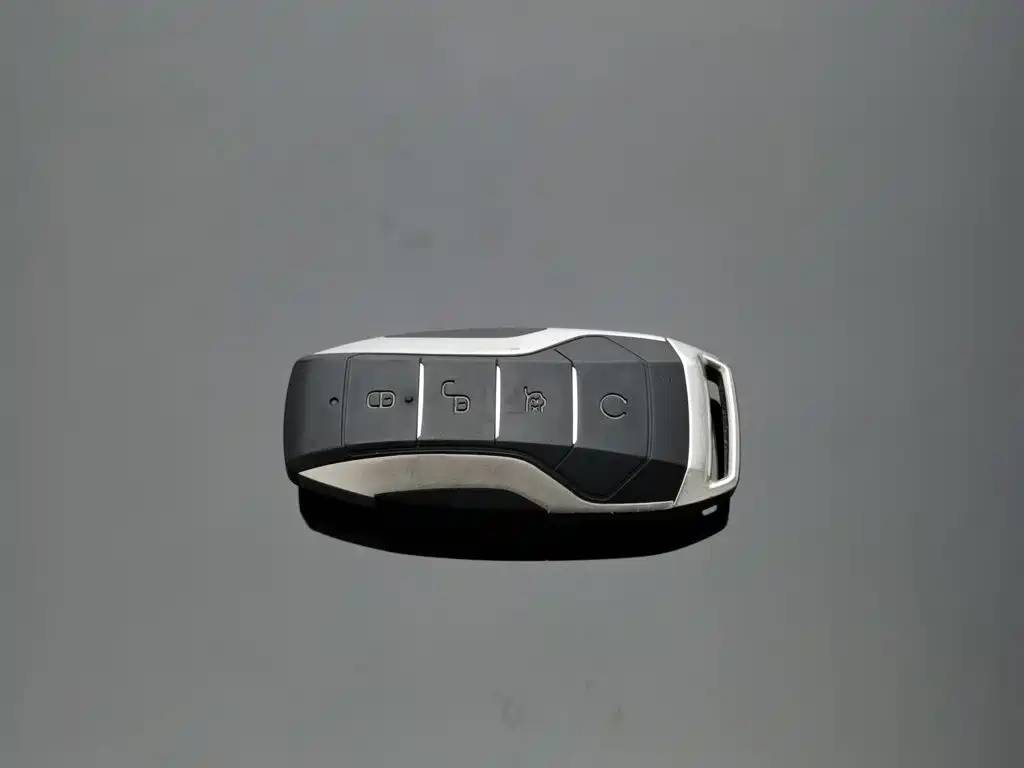 BYD PLUS New Energy — миниатюра 19