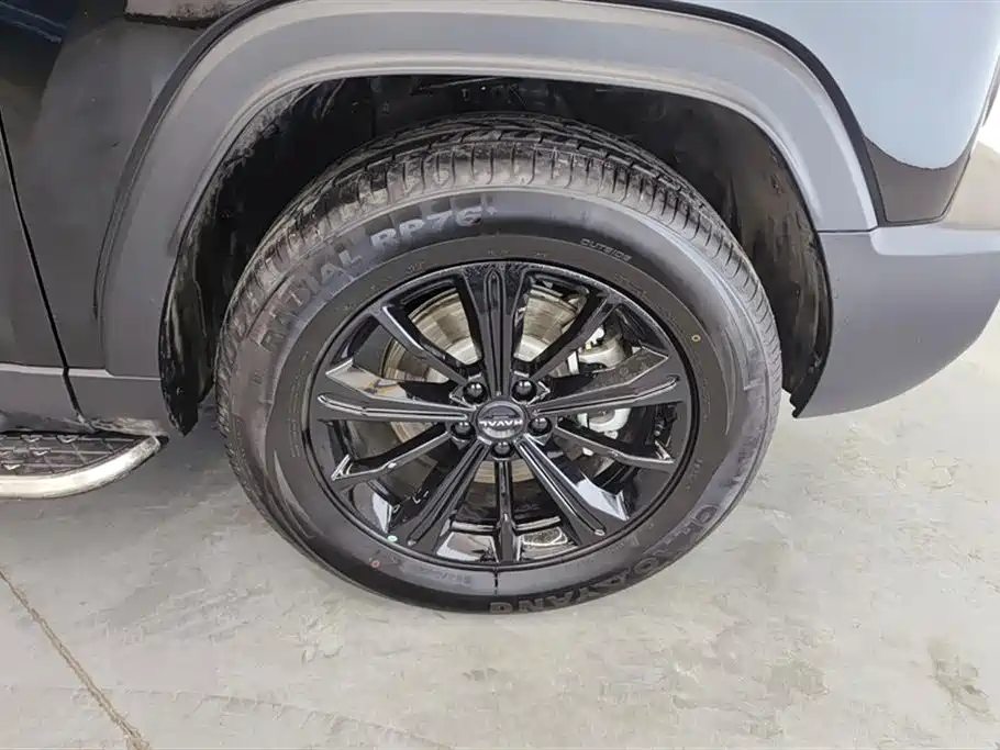 HAVAL RAPTORS NEW ENERGY