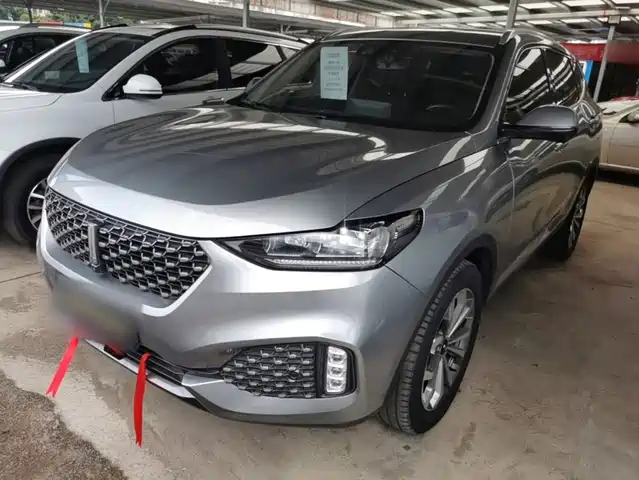 2020 Wey VV6