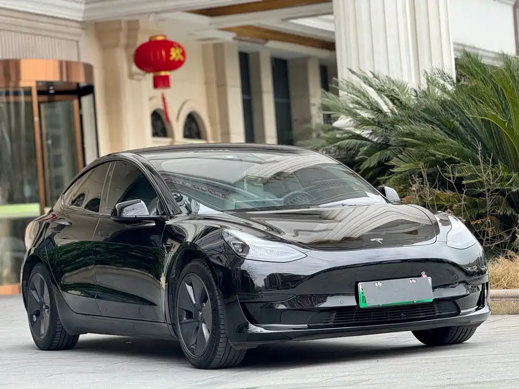 Tesla Model 3 — миниатюра 3