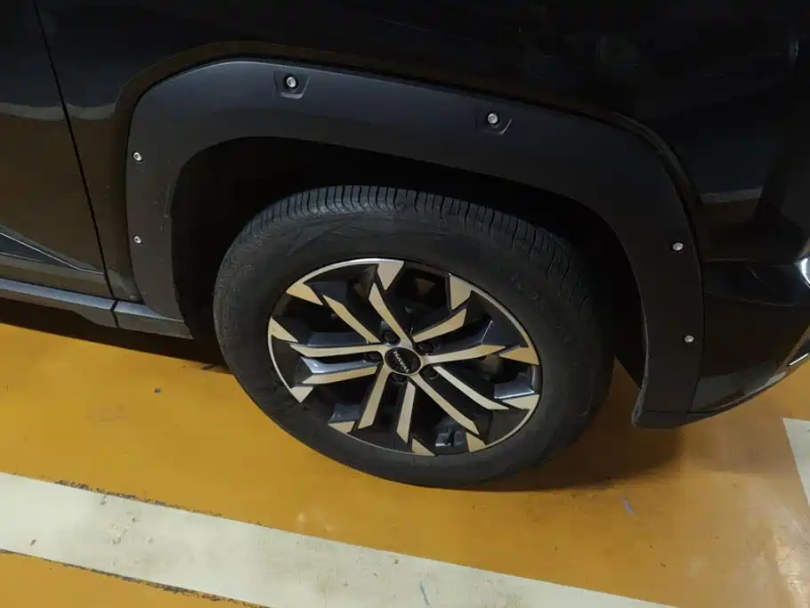 Haval Big Dog PLUS — миниатюра 6