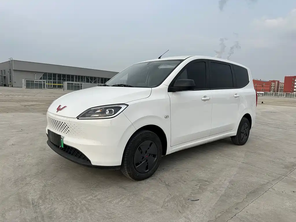 WULING WULING HONGGUANG NEW ENERGY