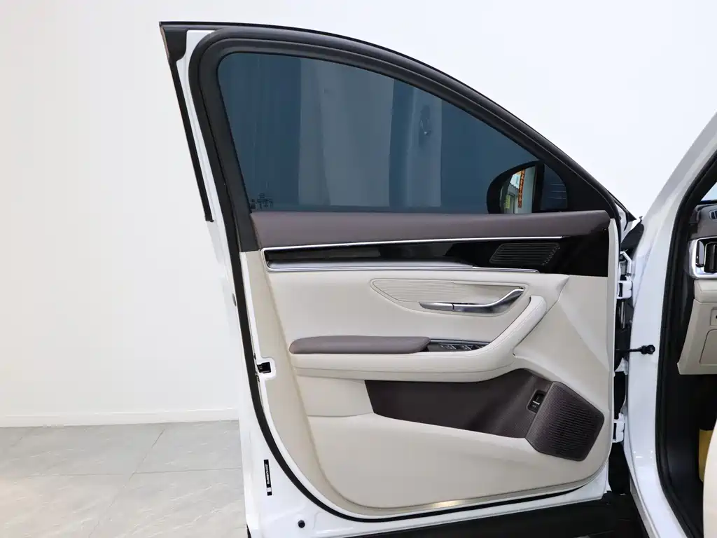 BYD SONGJIANG NEW ENERGY