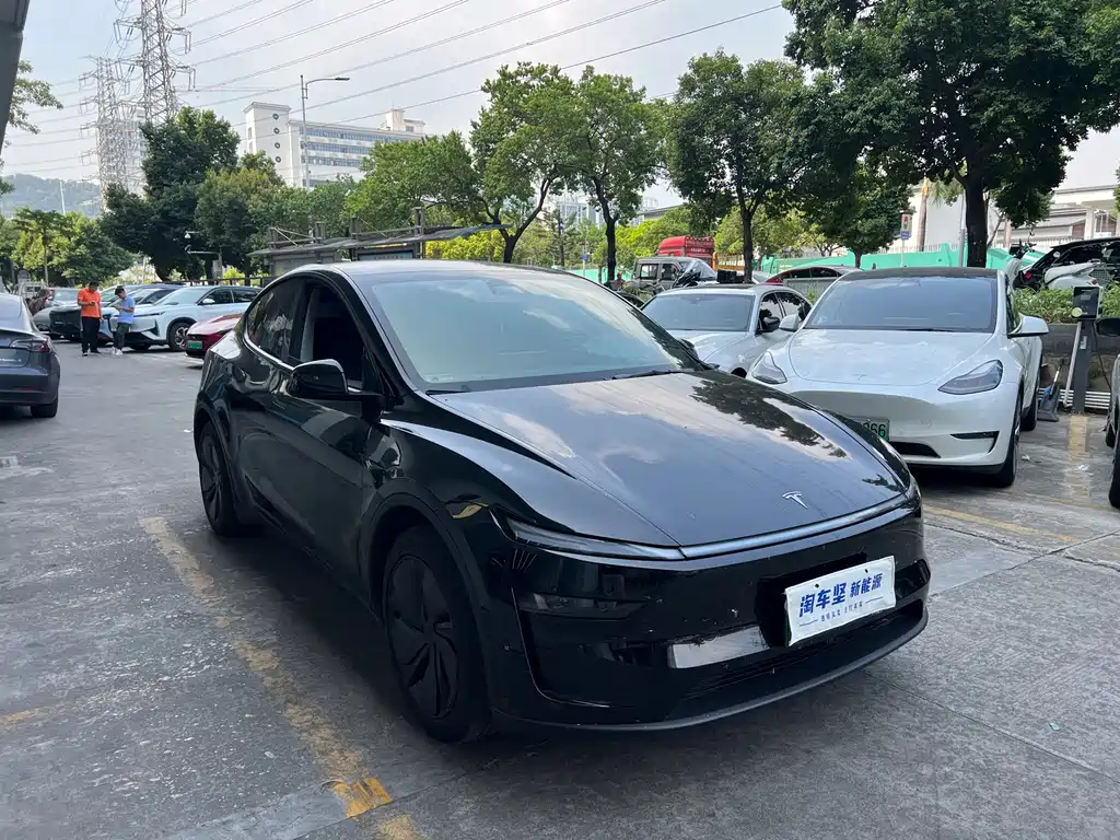 Tesla Model Y — миниатюра 3
