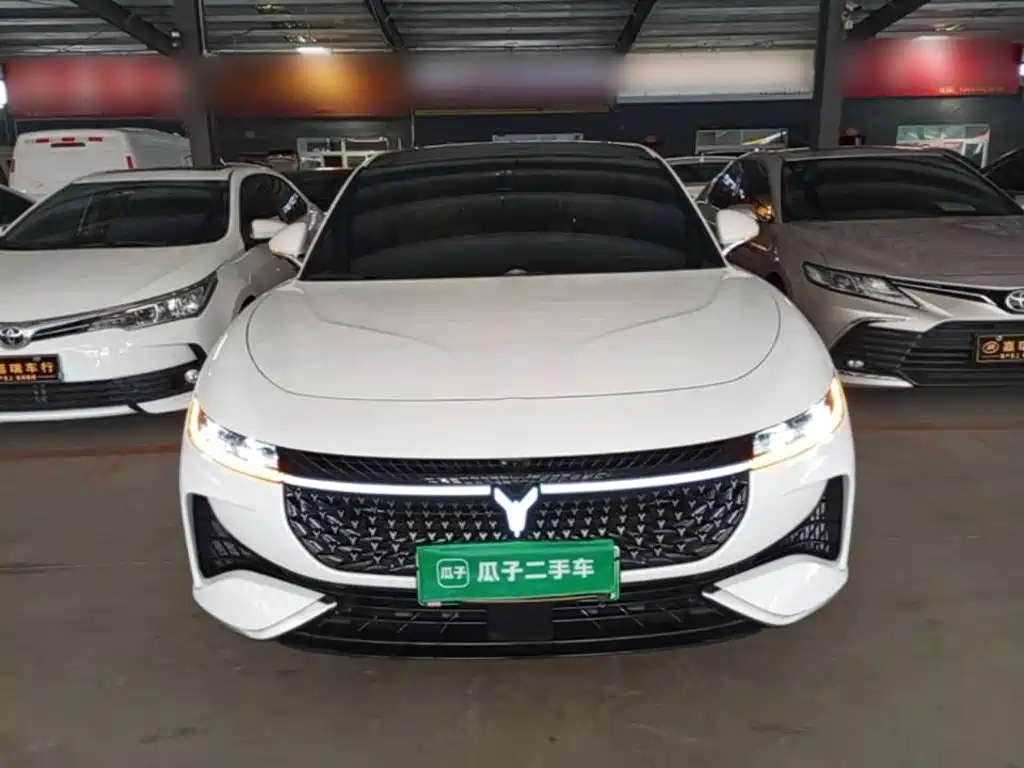 Voyah Passion 2024 PHEV Flagship