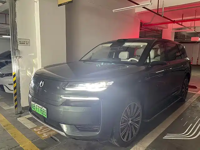 2025 Denza N9