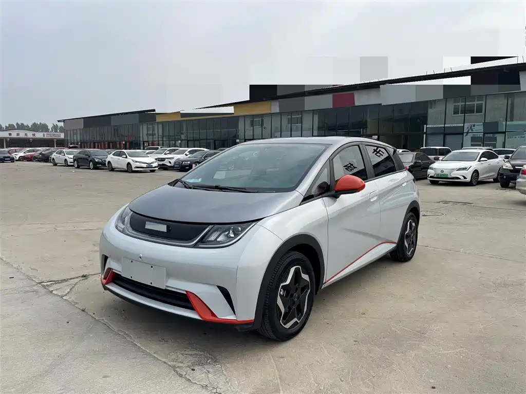 Byd Dolphin 2022