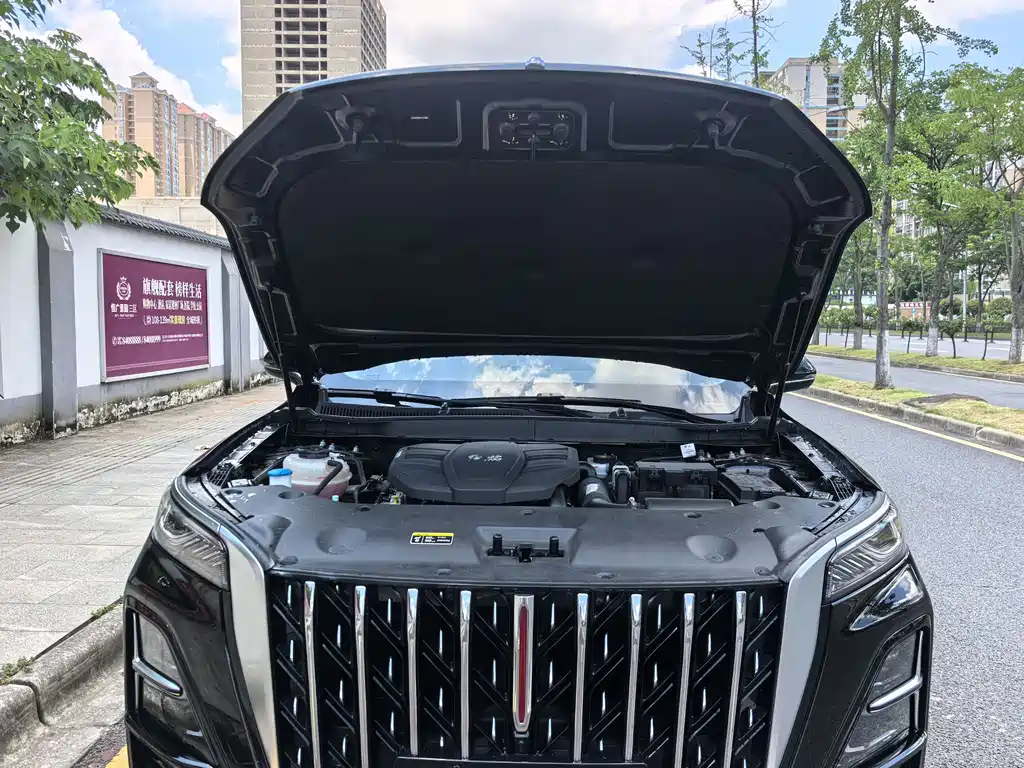 Hongqi HS5 2023 2.0T Pro50