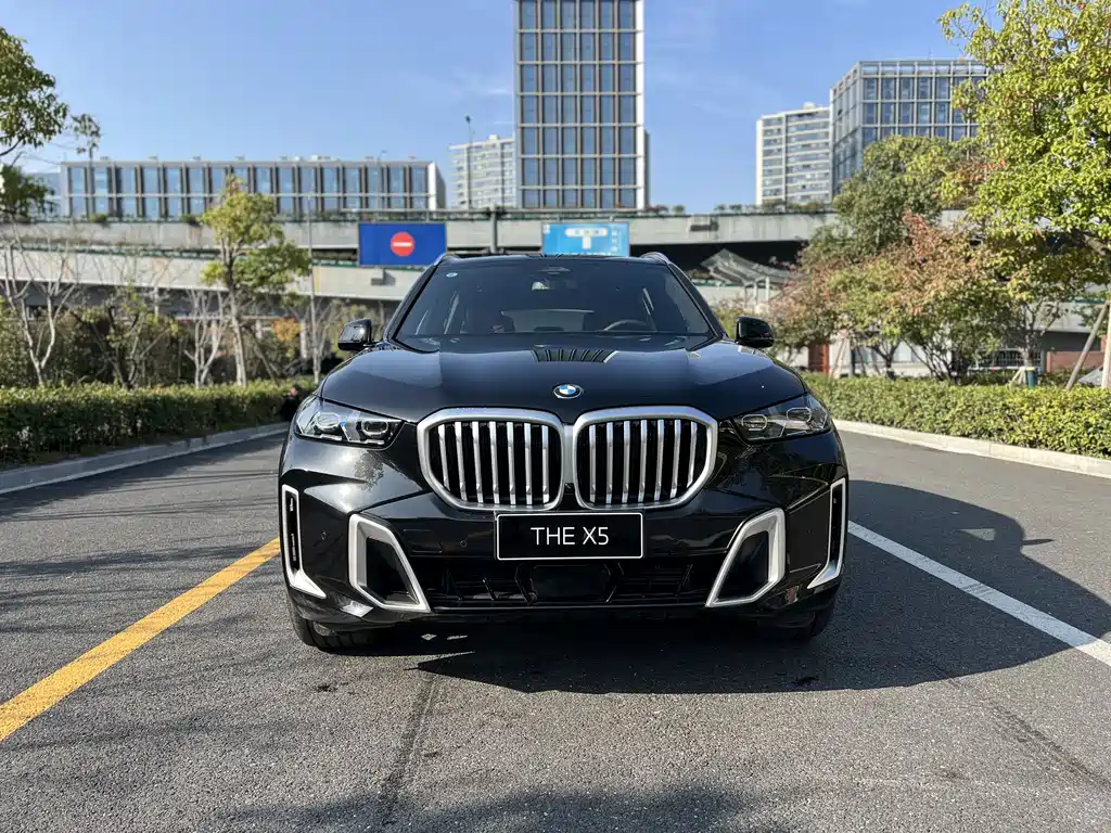 BMW X5 2023 xDrive 40Li M Sport