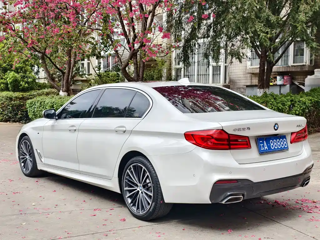 BMW 5 Series 5 2020 530Li Premium M Sport