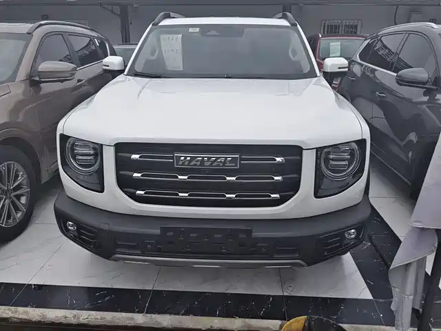 2021 Haval Big Dog