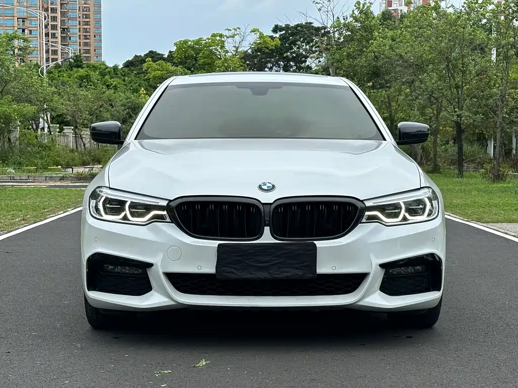 BMW 5 Series 5 2019 530Li Premium M Sport
