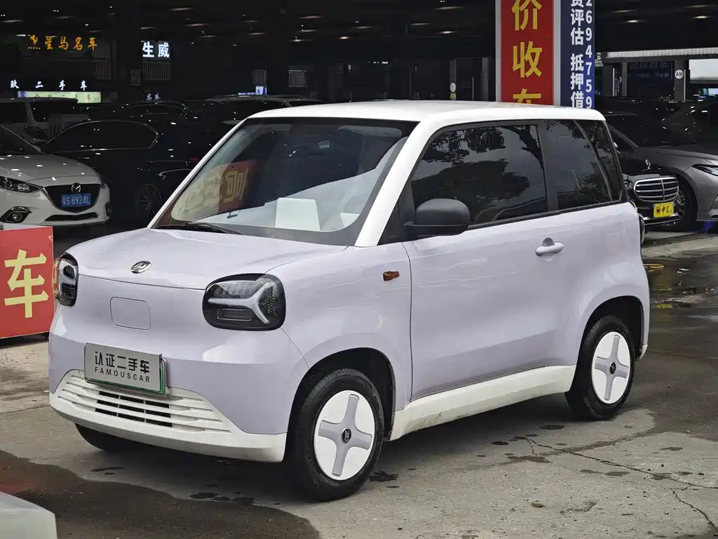 Zhidou Zhido Rainbow 2024
