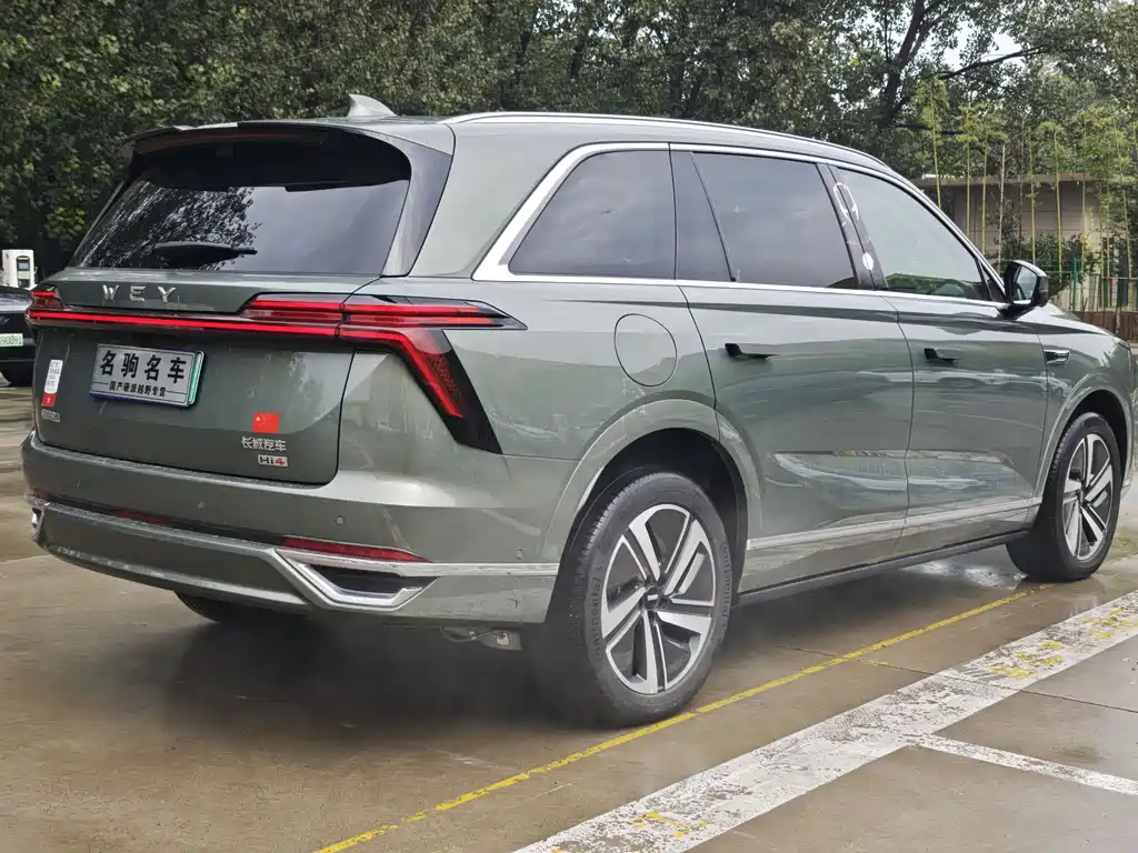 WEI PAI WEI BRAND BLUE MOUNTAIN