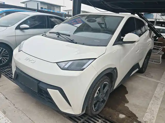 2024 BYD Seagull