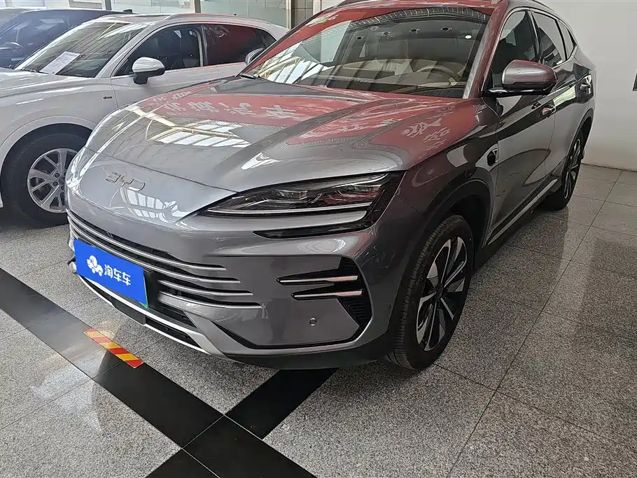 Byd PLUS New Energy 2025