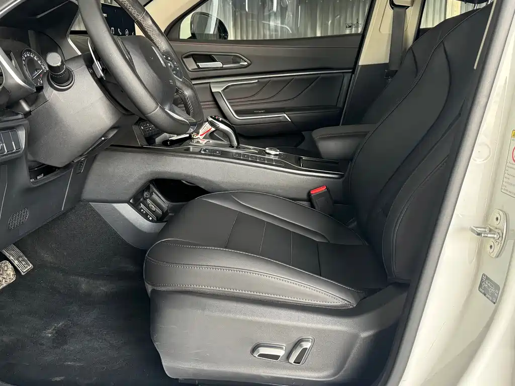 Wey VV5 1.5T 2WD Beauty Pioneer, фото 7