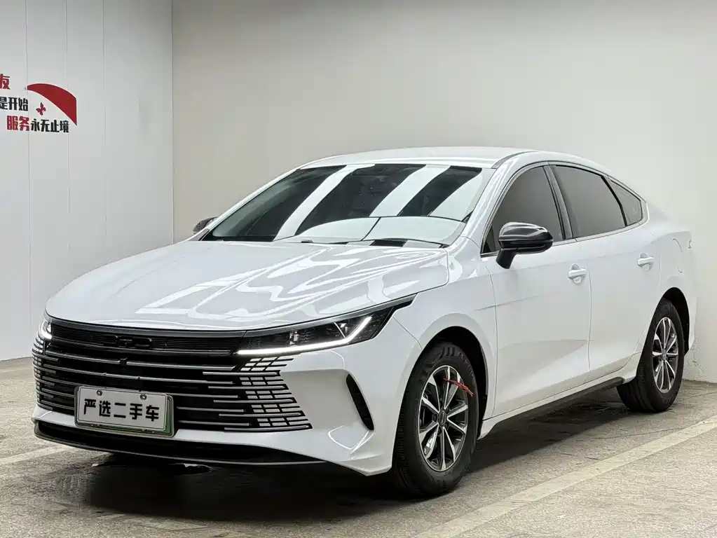Byd Destroyer 05 2024